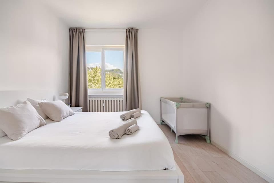 Penthouse with terrace & parking Apartment in Lugano