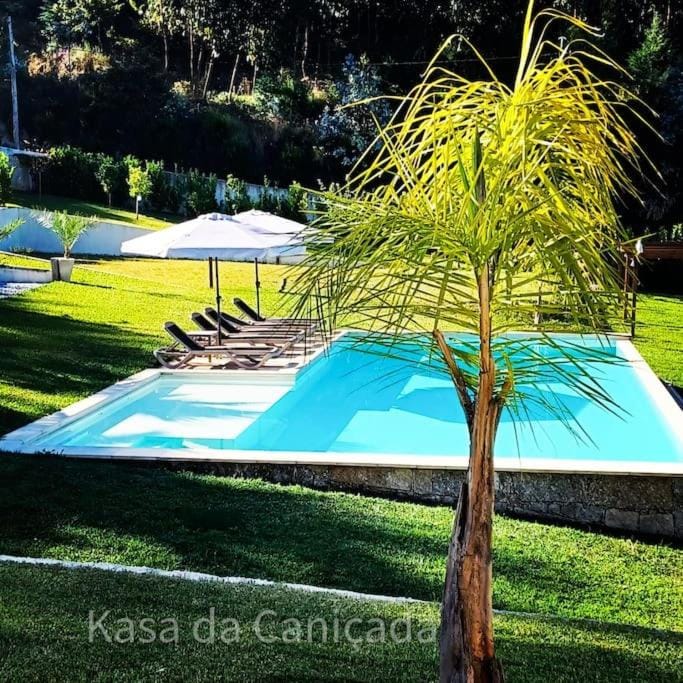 Garden, Garden view, Pool view, Swimming pool, sunbed