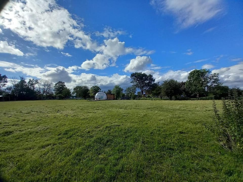 La Bulle des alpagas Luxury tent in Centre-Val de Loire