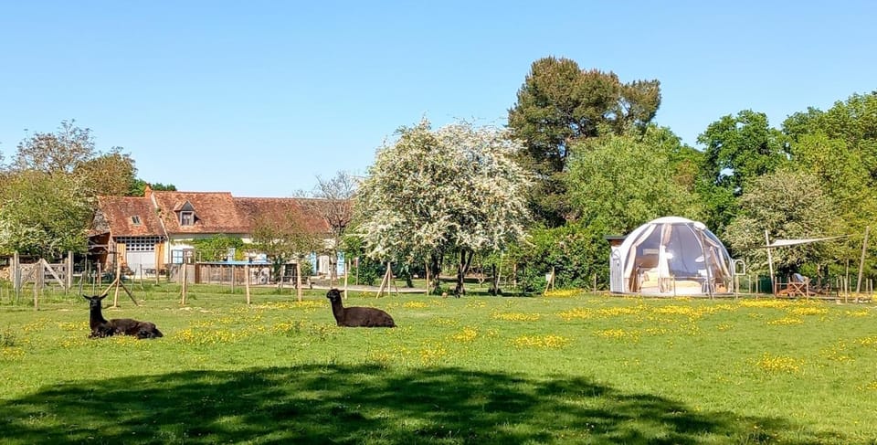 La Bulle des alpagas Luxury tent in Centre-Val de Loire