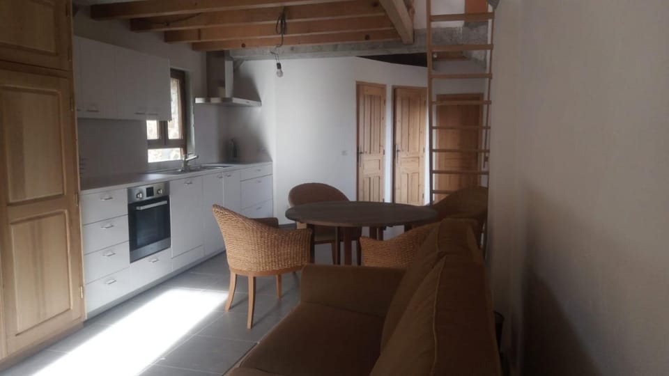 Kitchen or kitchenette, Living room, Seating area, Dining area, oven, pet friendly, stove