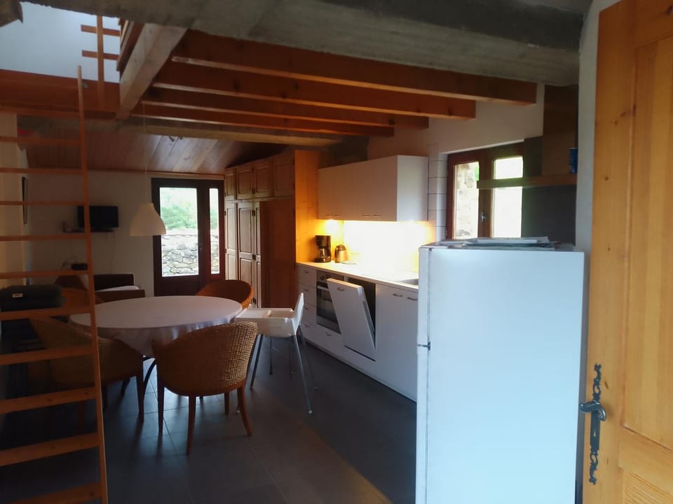 Kitchen or kitchenette, oven, pet friendly, stove