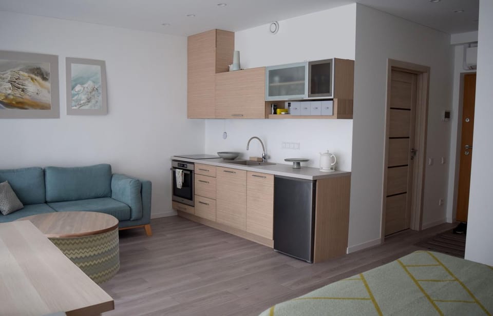 Cozy apartment located near to Paupys Apartment in Vilnius