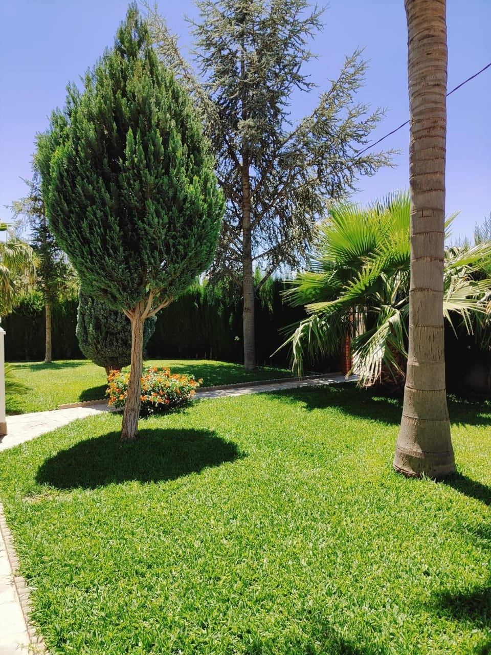 Natural landscape, Garden, Garden view