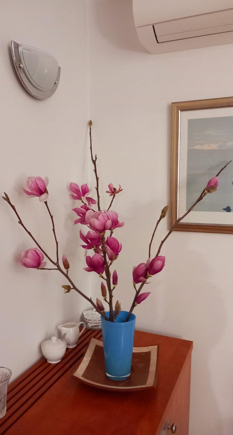 Apartman Ana Lotre Apartment in Dubrovnik-Neretva County