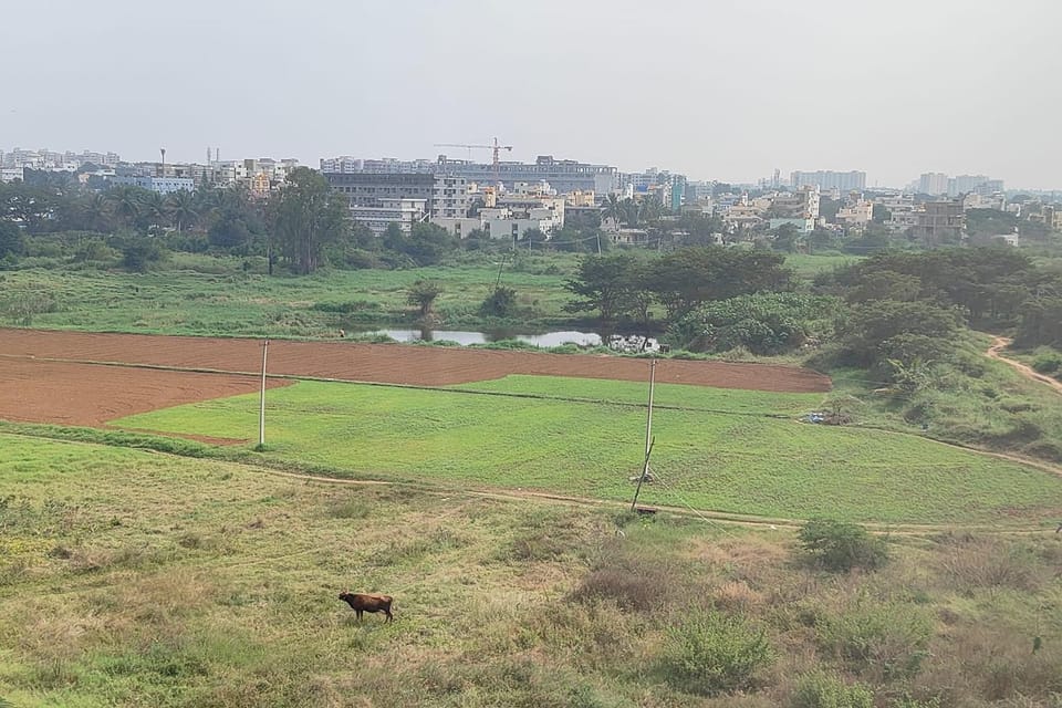 Natural landscape