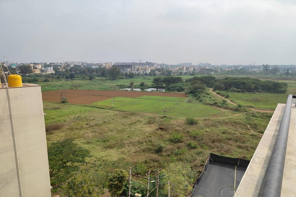 Natural landscape