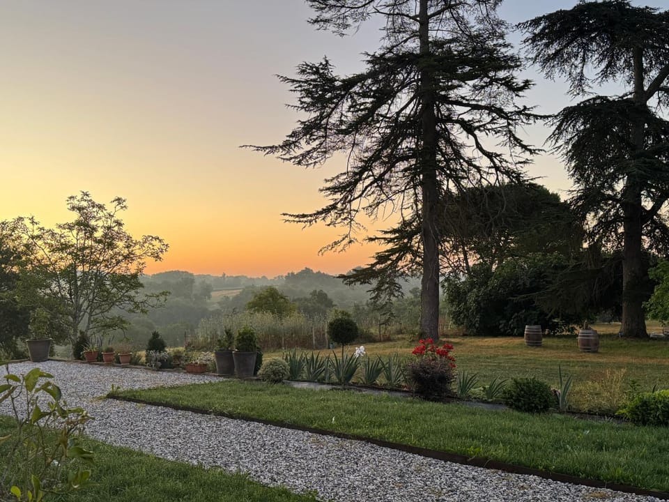 Garden view