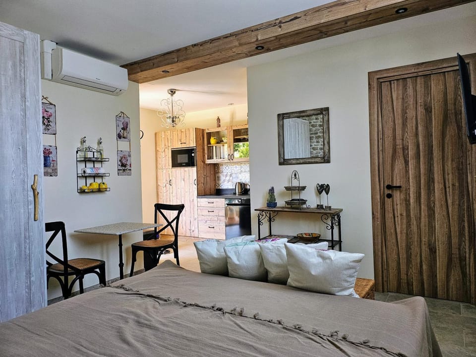 Charmant studio près de la plage avec jacuzzi et terrasse privative Apartment in Villeneuve-Loubet