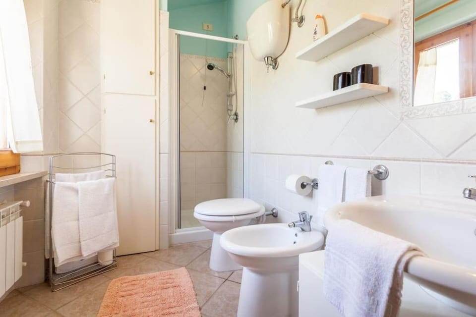 Shower, Bathroom, bidet, towels
