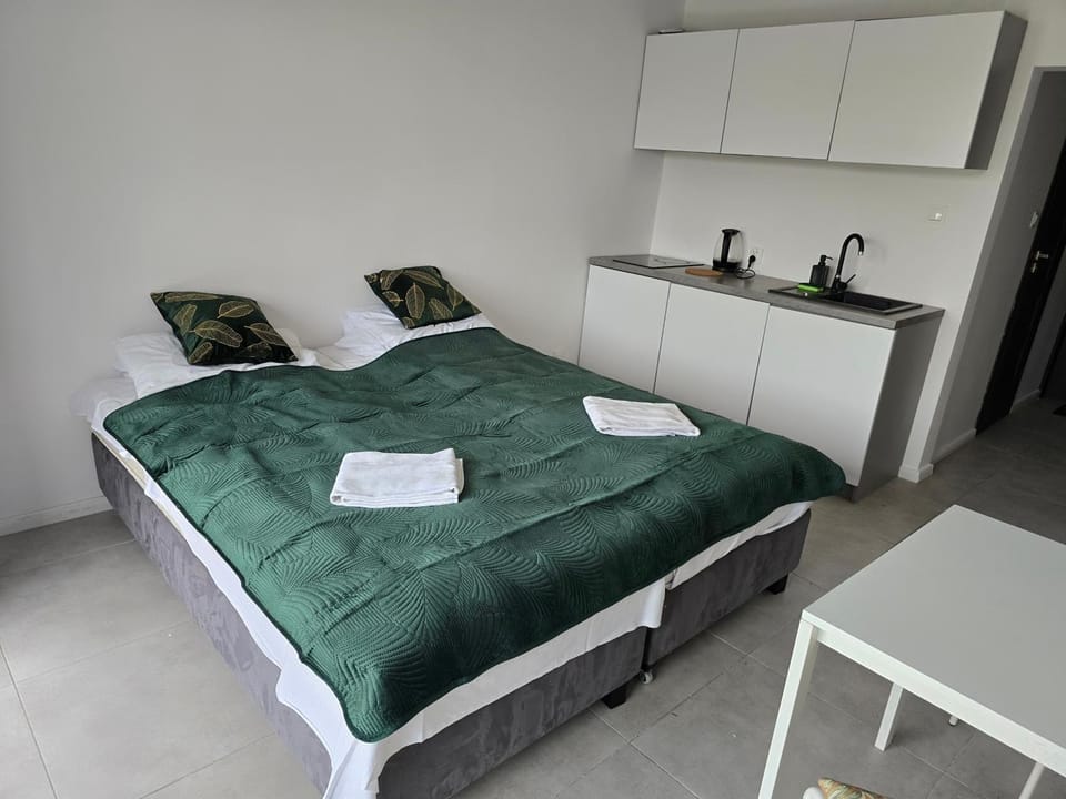 Sea Power Horyzont Apartament 1 Jedyneczka Apartment in Pomeranian Voivodeship