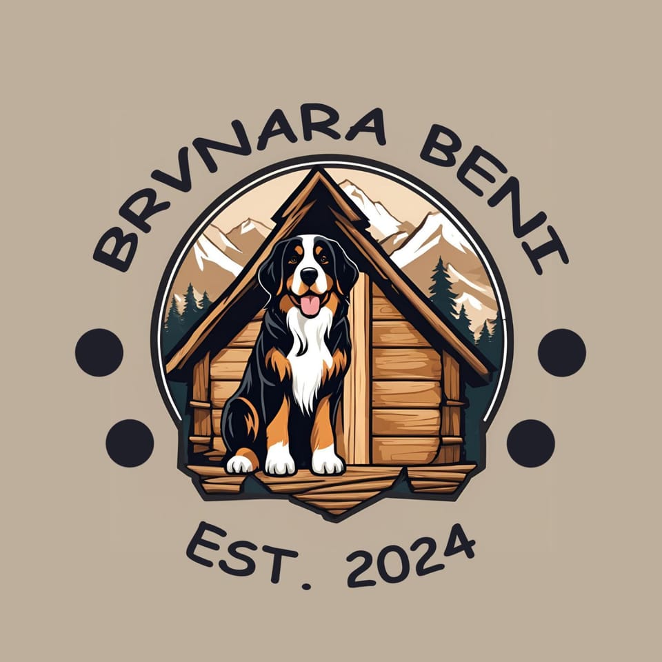 Brvnara Beni Chalet in Vojvodina