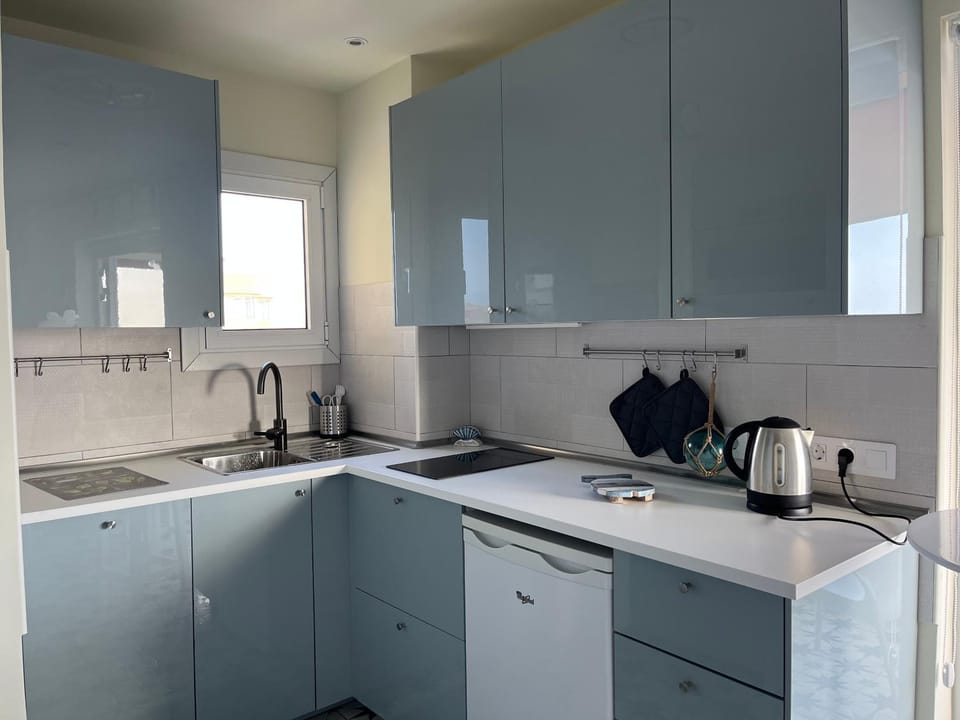 Kitchen or kitchenette, kitchen