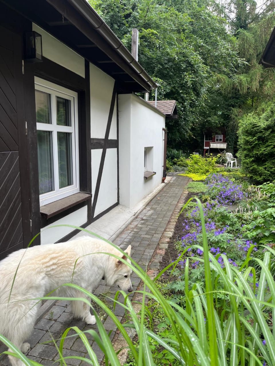 Property building, Garden