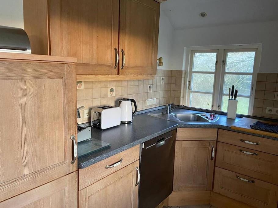 Kitchen or kitchenette, dishwasher