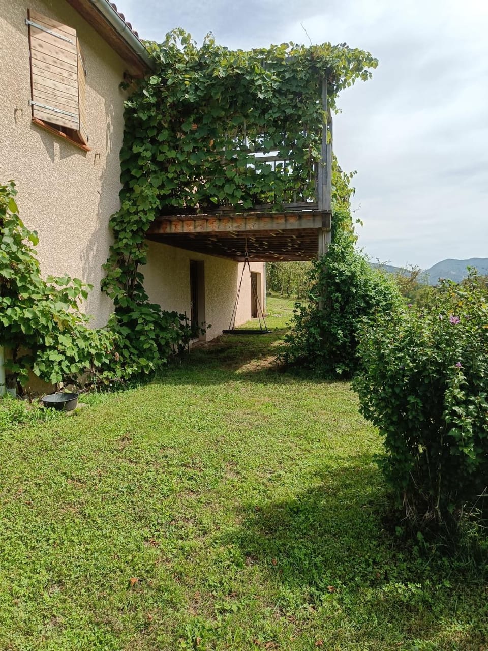 Garden view