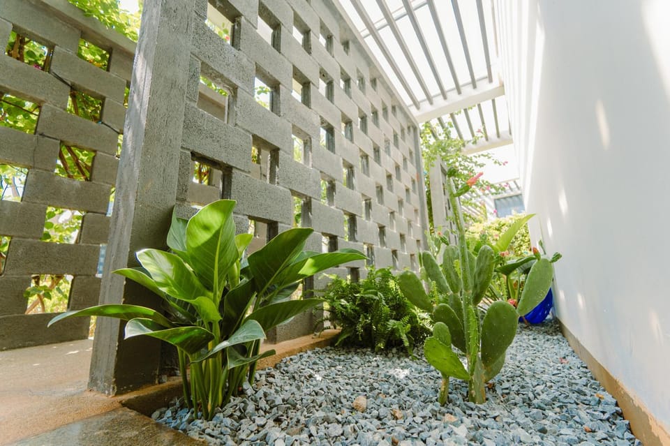 Patio, Spring, Day, Garden, Garden view