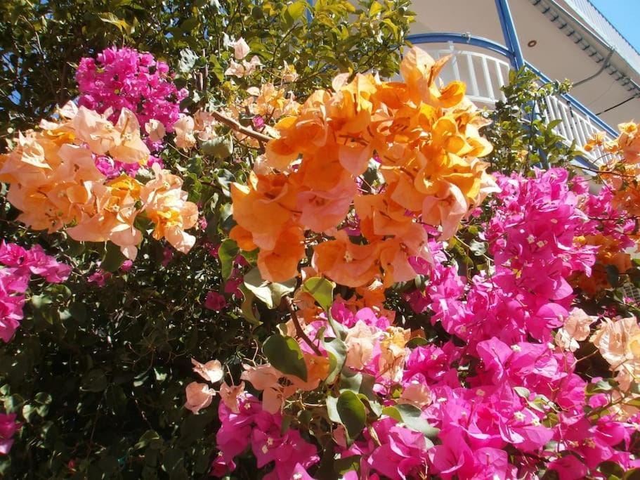 Seaview Studio Helen No 6 Apartment in Argolis, Greece