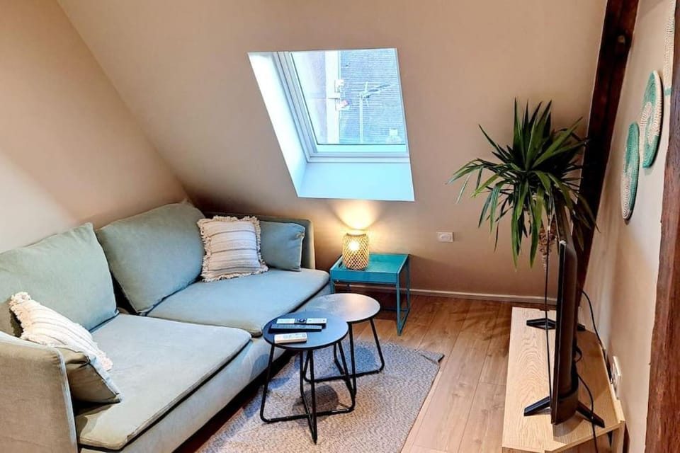 Belle Vue D'Auxerre Apartment in Bourgogne-Franche-Comté