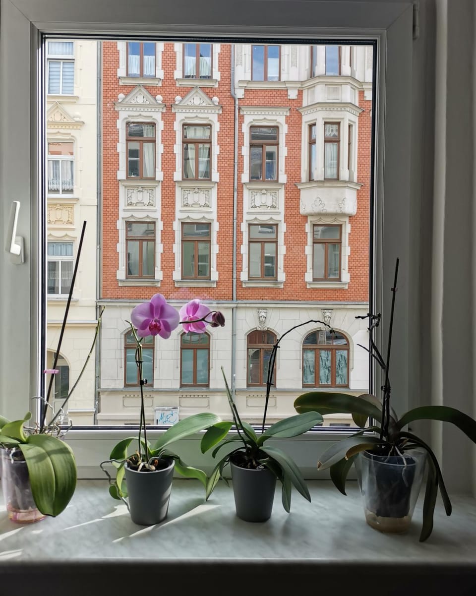 Day, View (from property/room)
