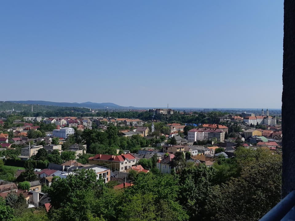 View (from property/room)