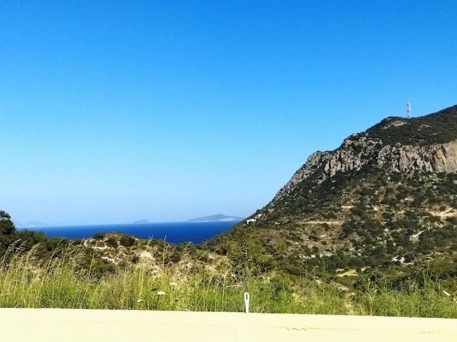 Natural landscape