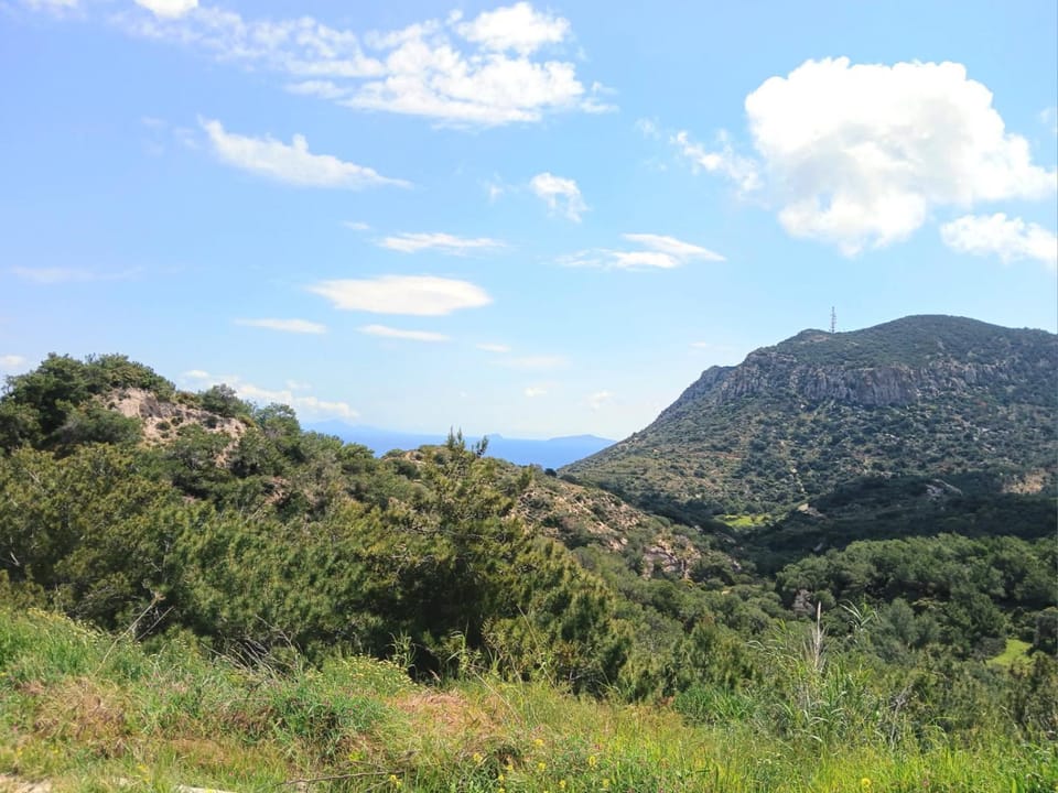 Natural landscape