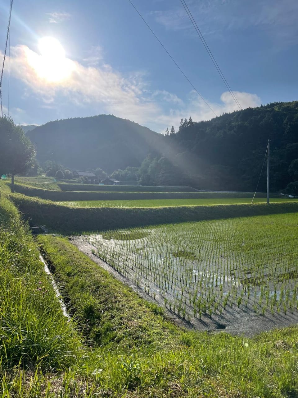 Spring, Day, Natural landscape, Mountain view
