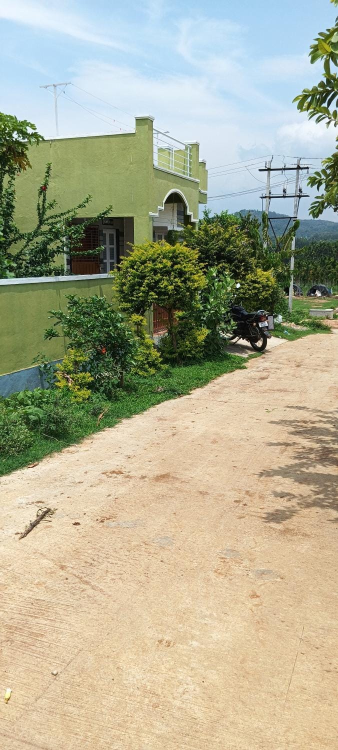 Property building, Day, Neighbourhood, Natural landscape, Street view