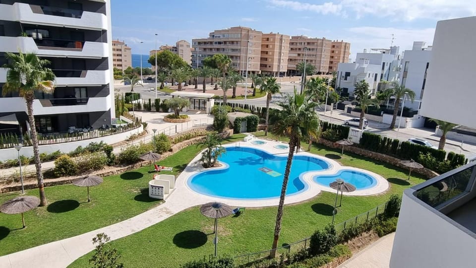 Garden, Swimming pool