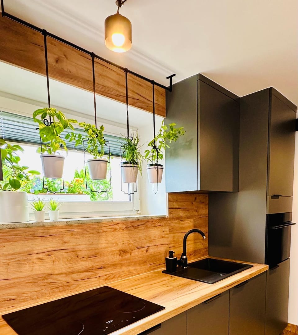 Garden, Kitchen or kitchenette, Sunset