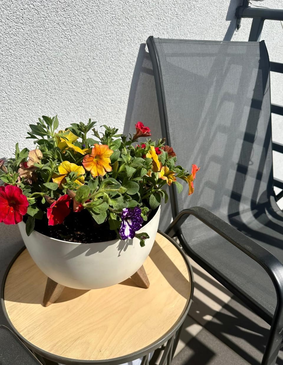 Spring, Day, Summer, View (from property/room), Seating area