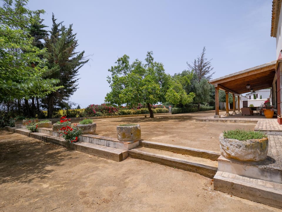 Garden view