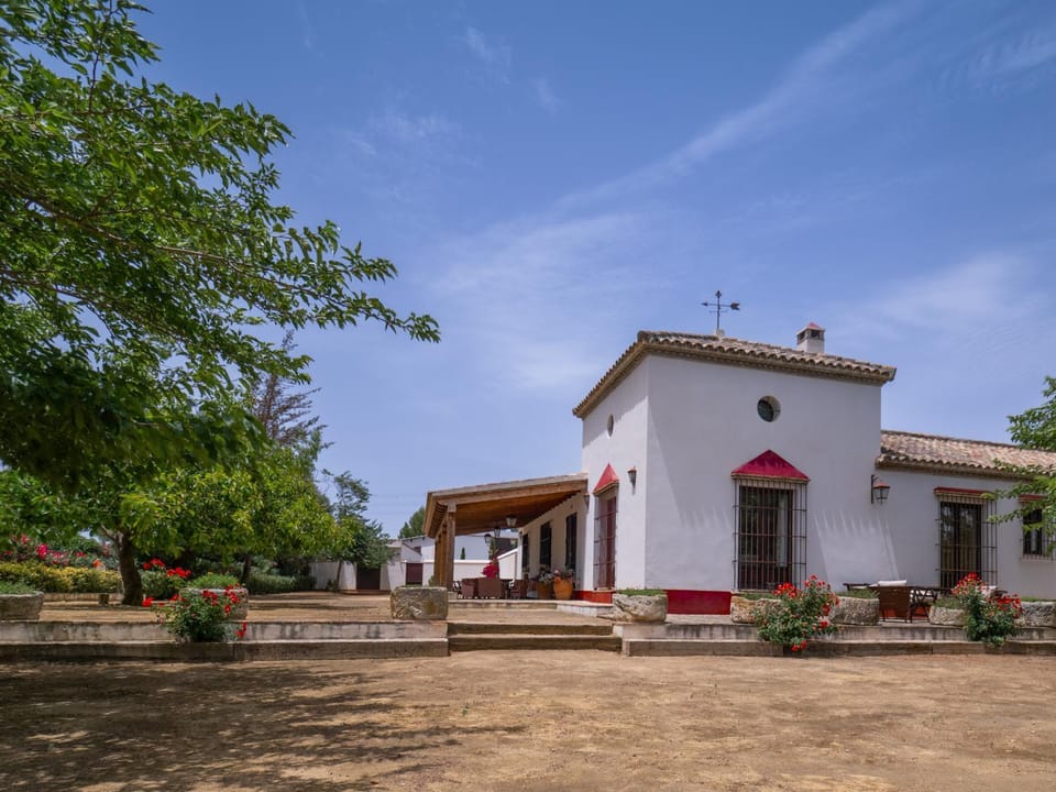 Property building, Garden, Garden view
