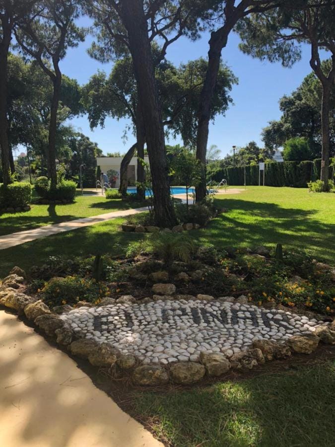 Natural landscape, Garden, Swimming pool