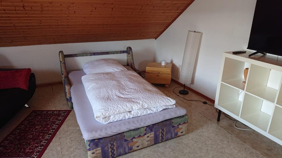 Bed, TV and multimedia, Photo of the whole room
