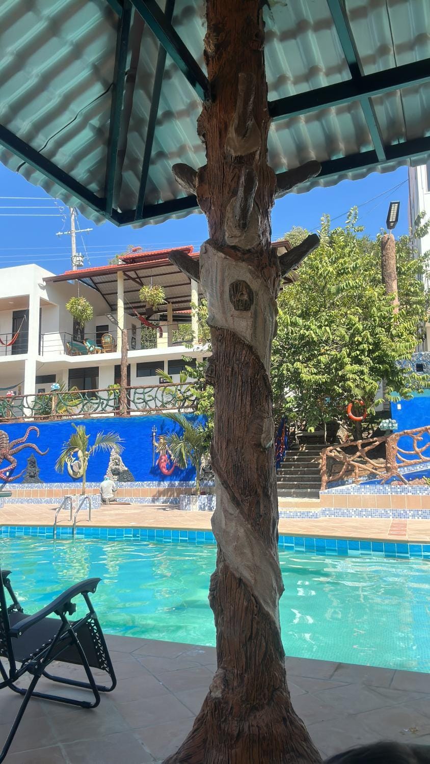 Day, Pool view, Swimming pool