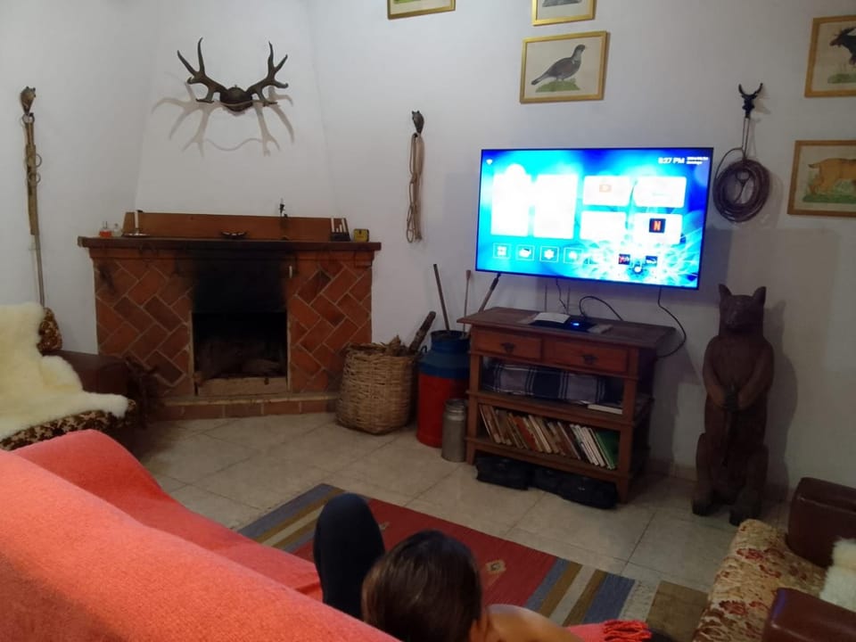 Communal lounge/ TV room, Evening entertainment