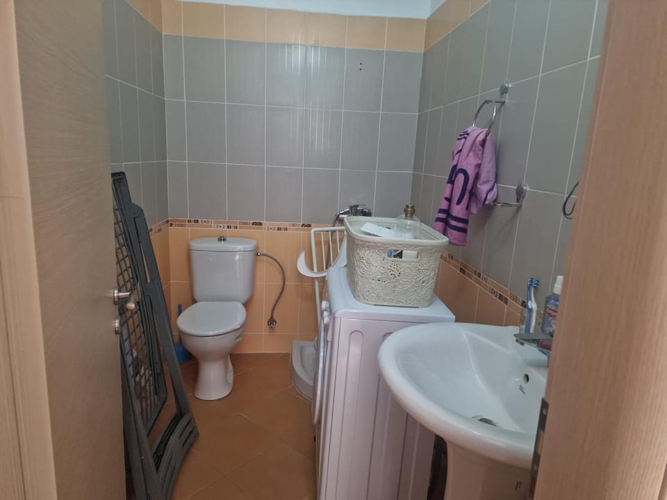 Toilet, towels, washing machine