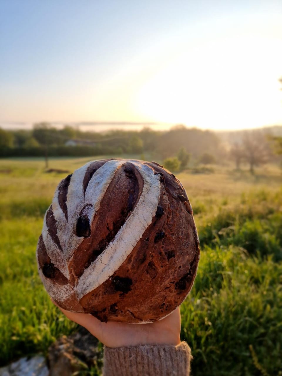 Breakfast, Sunset