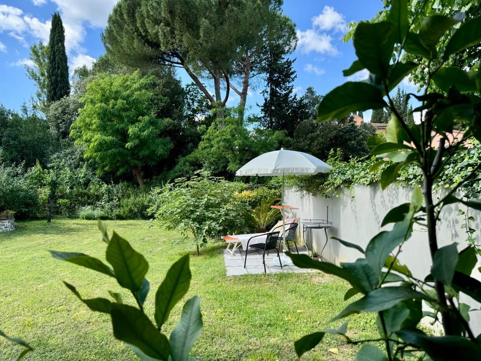 Day, Garden, Garden, Garden view