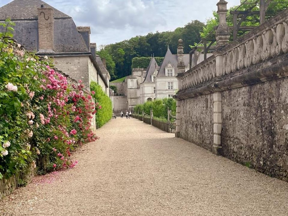 Gîte tout inclus avec jardin, clim, Wifi, proche Château de Villandry et Loire à vélo - FR-1-381-587 House in Centre-Val de Loire