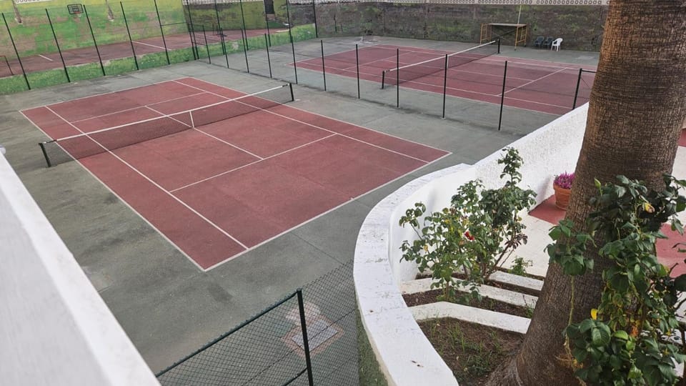 Tennis court, Tennis court