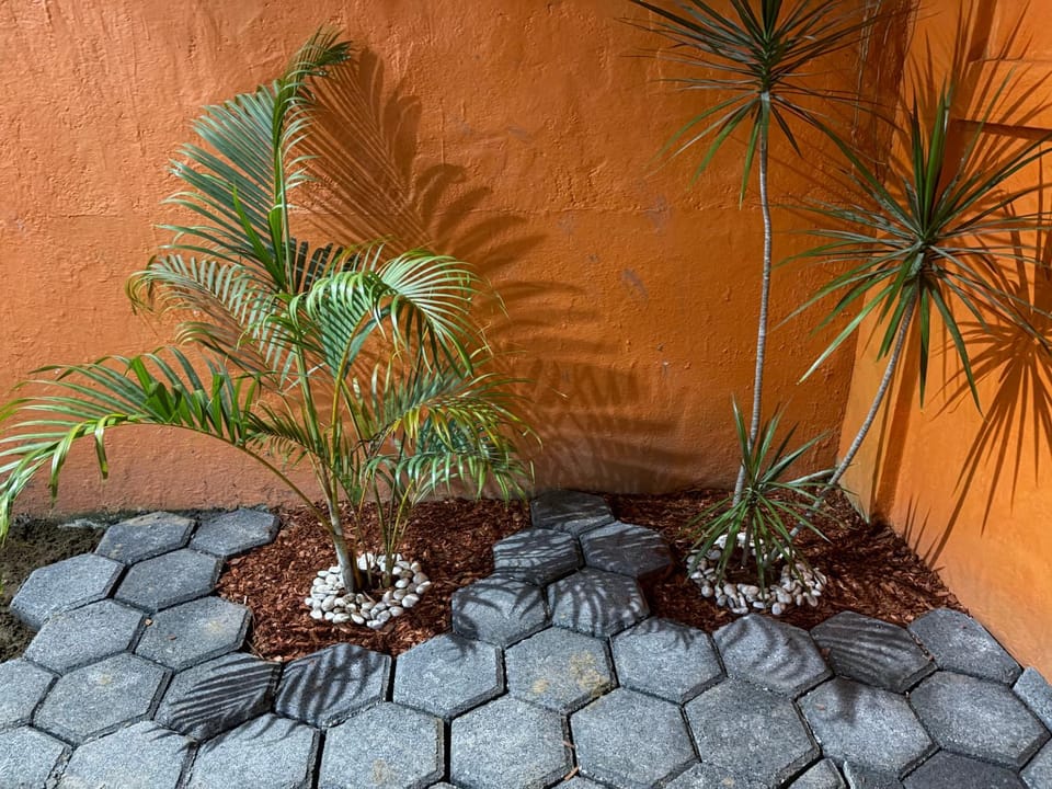 Casa climatizada Coatza House in State of Oaxaca
