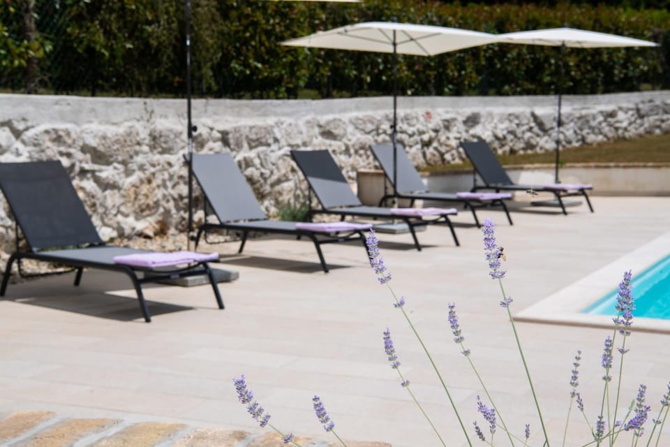 Swimming pool, sunbed