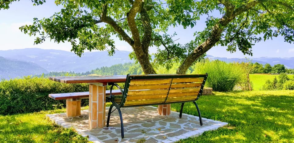 Patio, Seating area