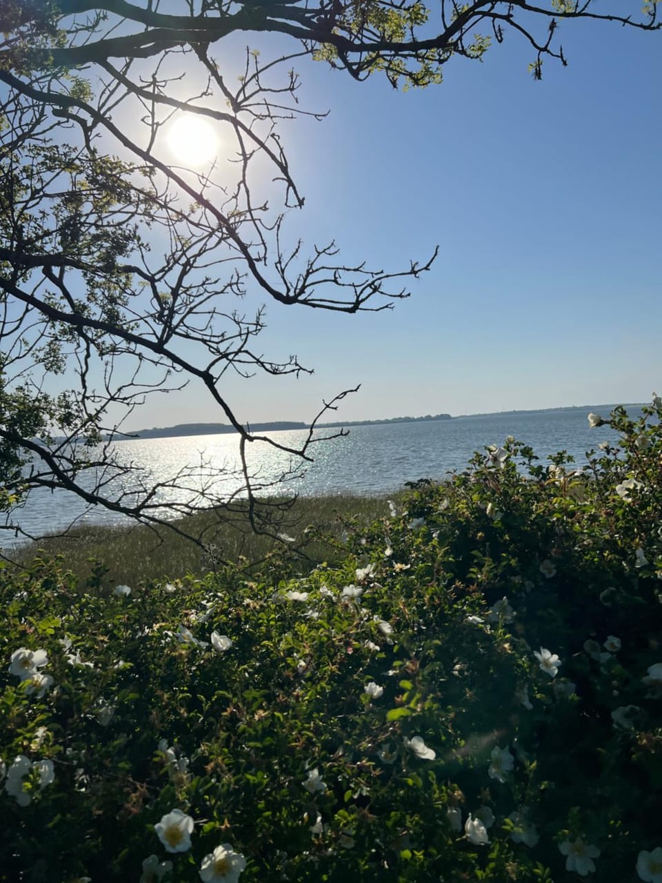 Day, Natural landscape, Lake view