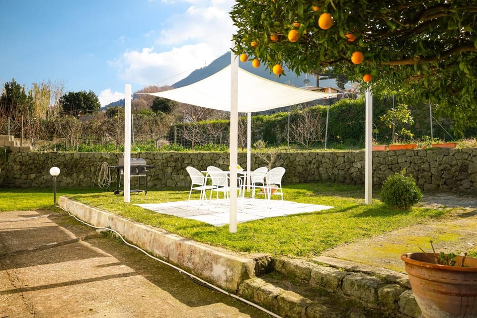 Property building, Patio, Patio, Day, BBQ facilities, BBQ facilities, Garden, Garden, Photo of the whole room, Dining area, Garden view, Garden view, Lunch