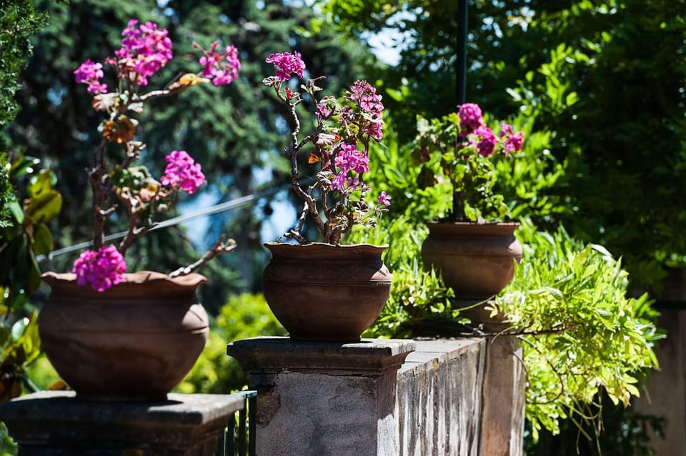 Villa Bagolaro Country House in Sicily