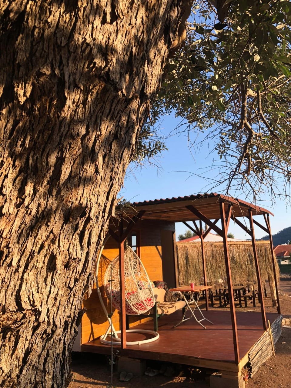 medusa kamp Luxury tent in Muğla Province